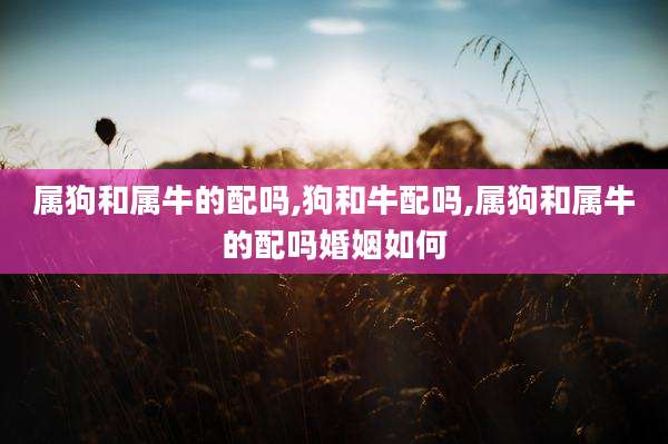 属狗和属牛的配吗,狗和牛配吗,属狗和属牛的配吗婚姻如何