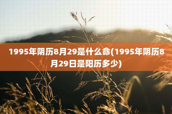 1995年阴历8月29是什么命(1995年阴历8月29日是阳历多少)