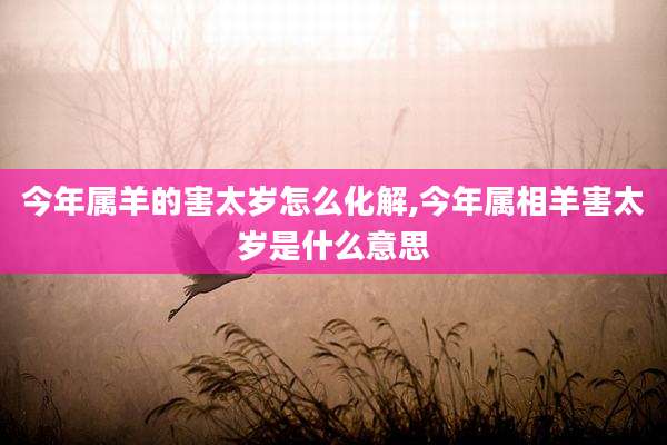 今年属羊的害太岁怎么化解,今年属相羊害太岁是什么意思