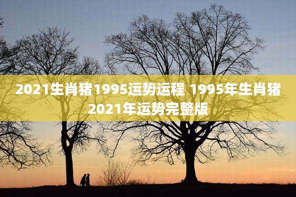 2021生肖猪1995运势运程 1995年生肖猪2021年运势完整版