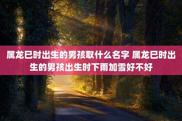 属龙巳时出生的男孩取什么名字 属龙巳时出生的男孩出生时下雨加雪好不好