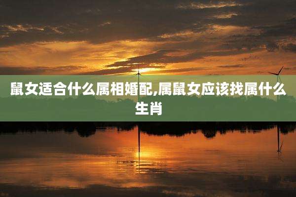鼠女适合什么属相婚配,属鼠女应该找属什么生肖