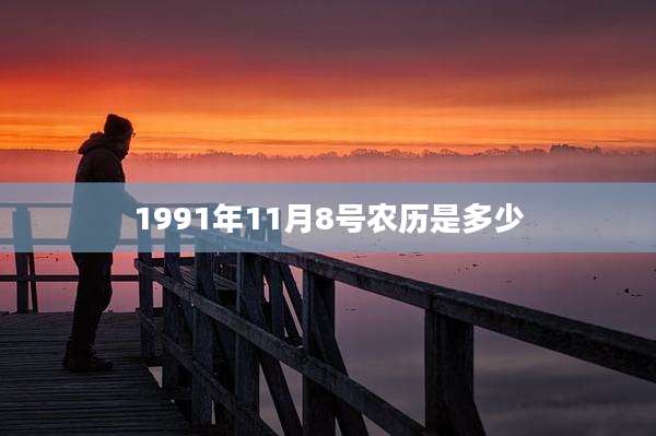 1991年11月8号农历是多少