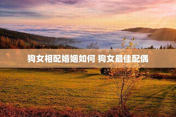 狗女相配婚姻如何 狗女最佳配偶