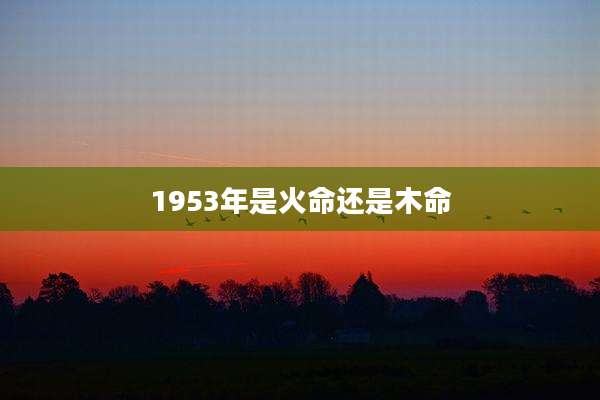 1953年是火命还是木命