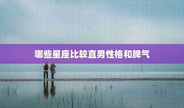 哪些星座比较直男性格和脾气