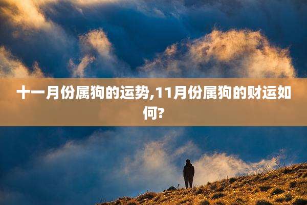 十一月份属狗的运势,11月份属狗的财运如何?