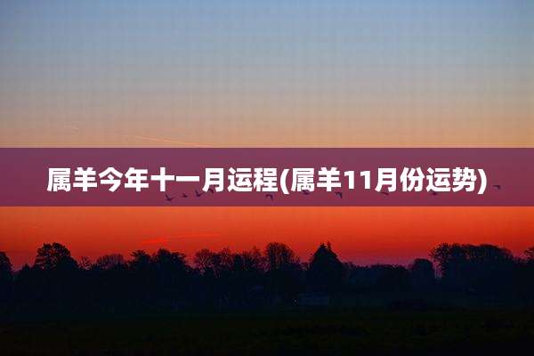 属羊今年十一月运程(属羊11月份运势)