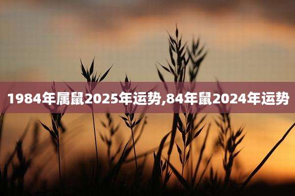 1984年属鼠2025年运势,84年鼠2024年运势