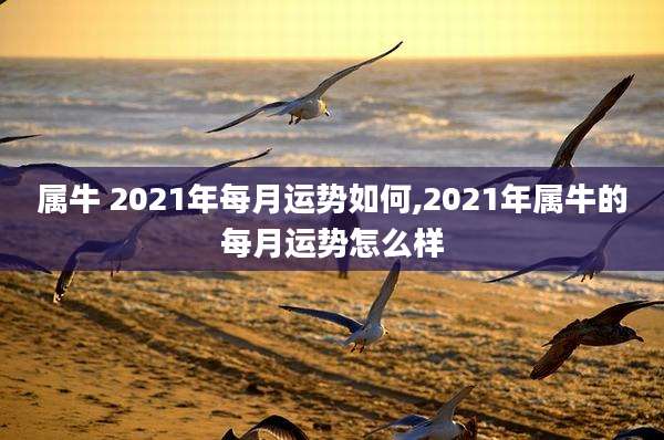 属牛 2021年每月运势如何,2021年属牛的每月运势怎么样