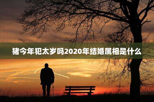 猪今年犯太岁吗2020年结婚属相是什么