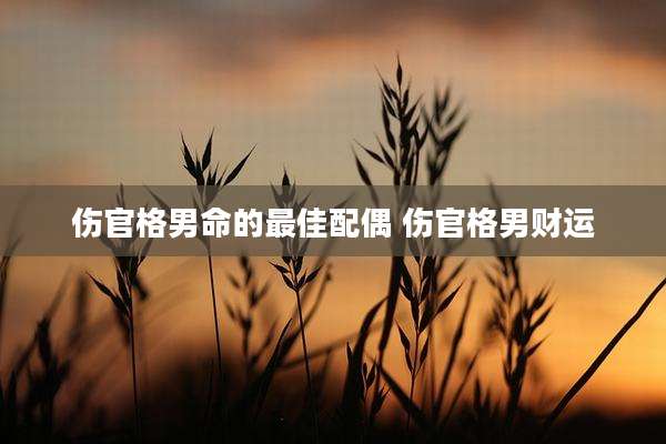 伤官格男命的最佳配偶 伤官格男财运