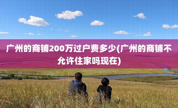 广州的商铺200万过户费多少(广州的商铺不允许住家吗现在)