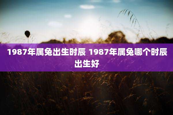 1987年属兔出生时辰 1987年属兔哪个时辰出生好