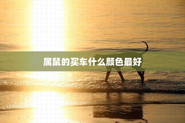 属鼠的买车什么颜色最好