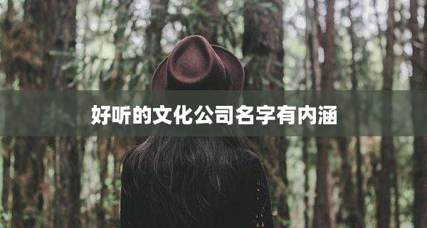 好听的文化公司名字有内涵