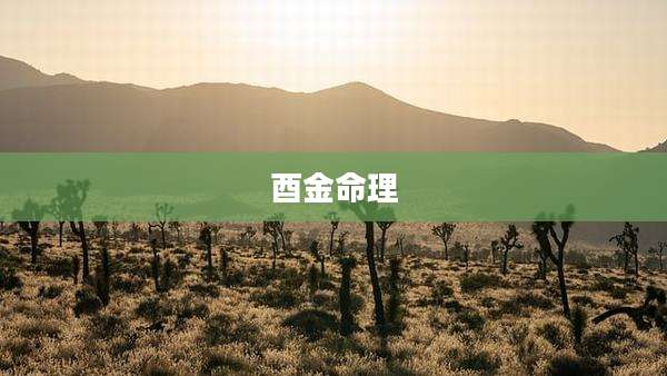 酉金命理