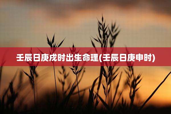 壬辰日庚戌时出生命理(壬辰日庚申时)