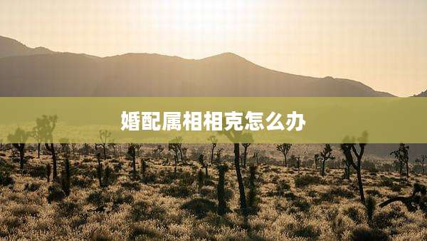 婚配属相相克怎么办