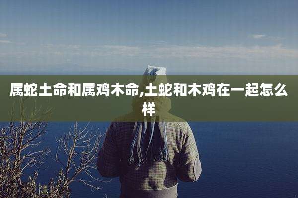 属蛇土命和属鸡木命,土蛇和木鸡在一起怎么样
