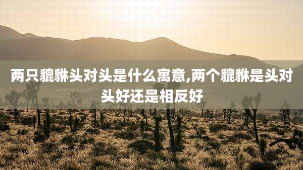 两只貔貅头对头是什么寓意,两个貔貅是头对头好还是相反好