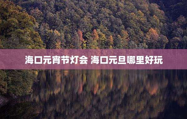 海口元宵节灯会 海口元旦哪里好玩