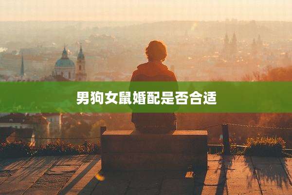 男狗女鼠婚配是否合适