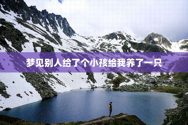 梦见别人给了个小孩给我养了一只