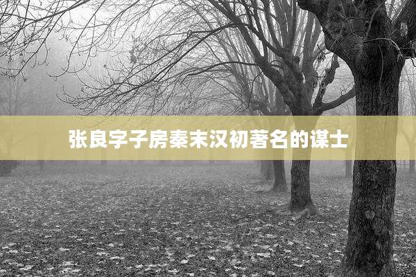 张良字子房秦末汉初著名的谋士