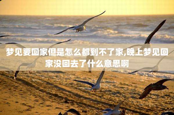 梦见要回家但是怎么都到不了家,晚上梦见回家没回去了什么意思啊