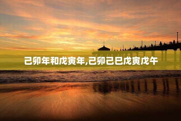 己卯年和戊寅年,己卯己巳戊寅戊午