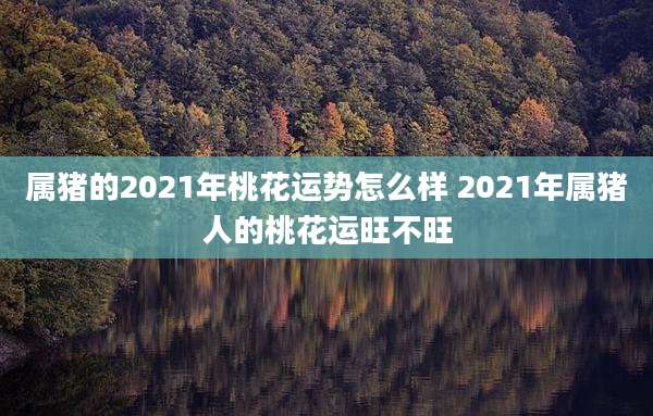 属猪的2021年桃花运势怎么样 2021年属猪人的桃花运旺不旺