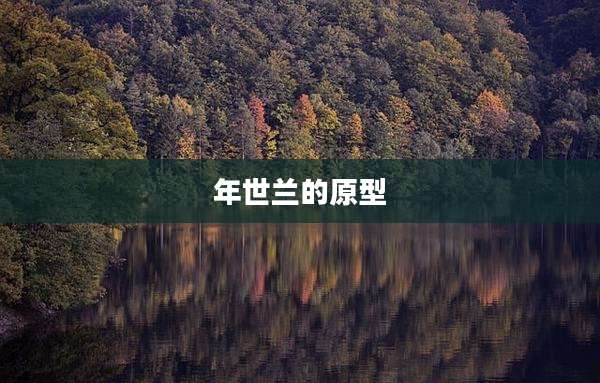 年世兰的原型