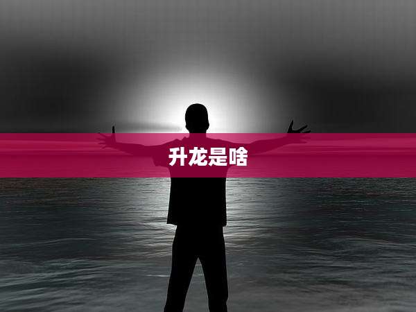 升龙是啥