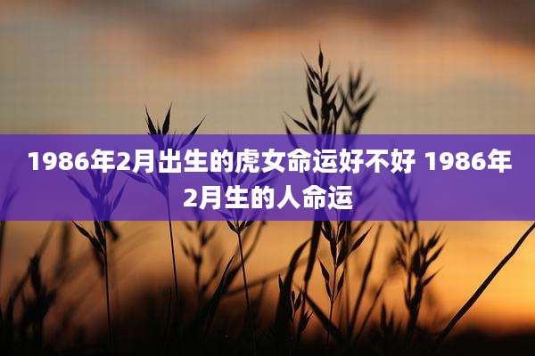 1986年2月出生的虎女命运好不好 1986年2月生的人命运