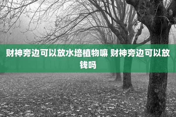 财神旁边可以放水培植物嘛 财神旁边可以放钱吗