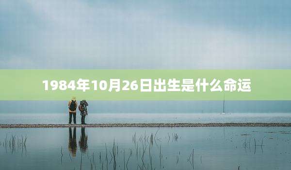 1984年10月26日出生是什么命运