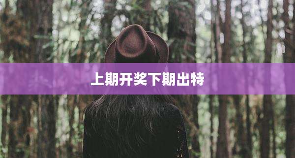 上期开奖下期出特