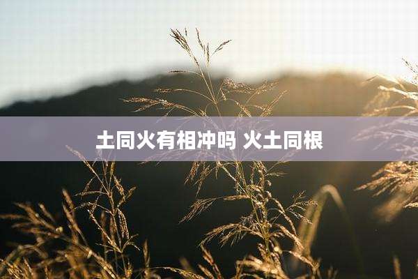 土同火有相冲吗 火土同根
