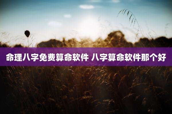 命理八字免费算命软件 八字算命软件那个好