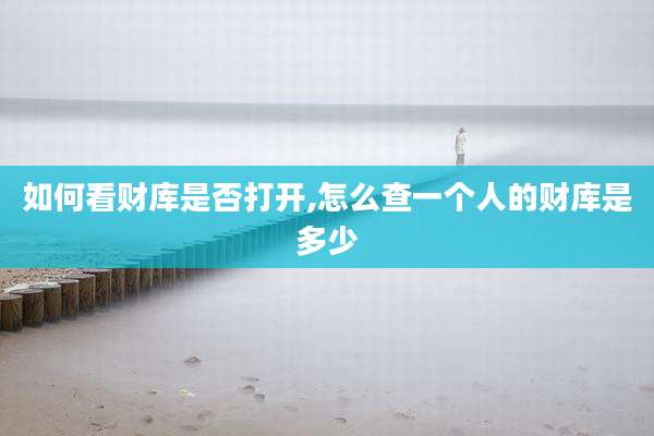 如何看财库是否打开,怎么查一个人的财库是多少