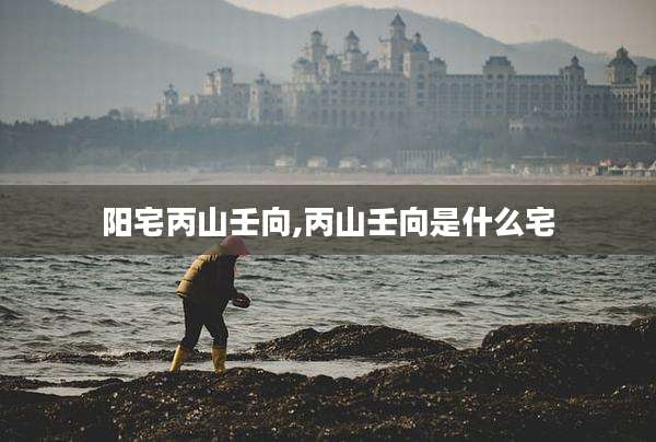 阳宅丙山壬向,丙山壬向是什么宅