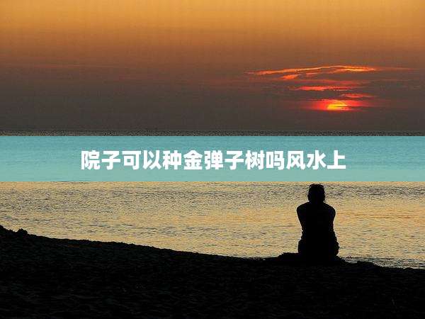 院子可以种金弹子树吗风水上