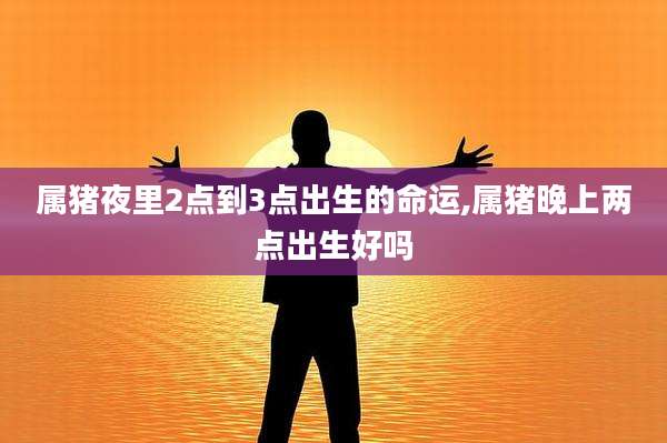 属猪夜里2点到3点出生的命运,属猪晚上两点出生好吗