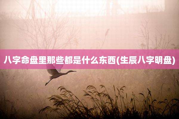 八字命盘里那些都是什么东西(生辰八字明盘)