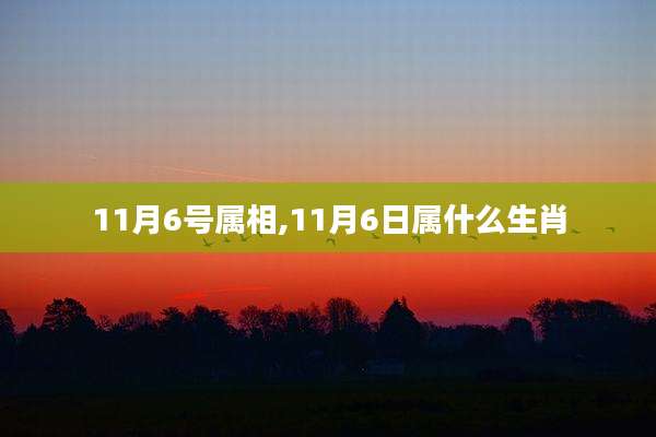 11月6号属相,11月6日属什么生肖