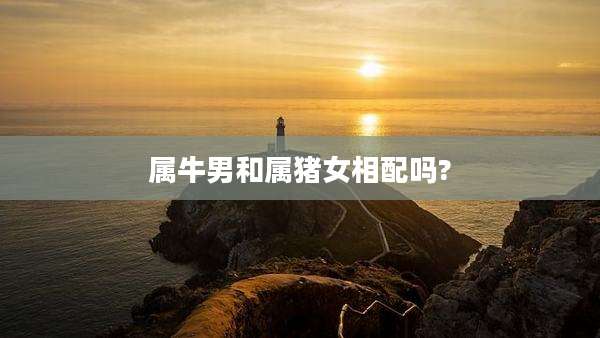 属牛男和属猪女相配吗?