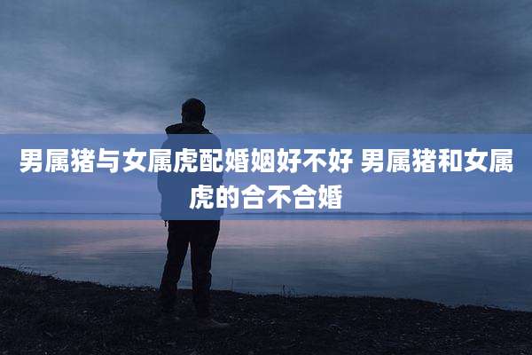男属猪与女属虎配婚姻好不好 男属猪和女属虎的合不合婚