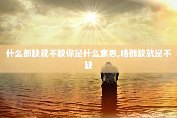 什么都缺就不缺你是什么意思,啥都缺就是不缺