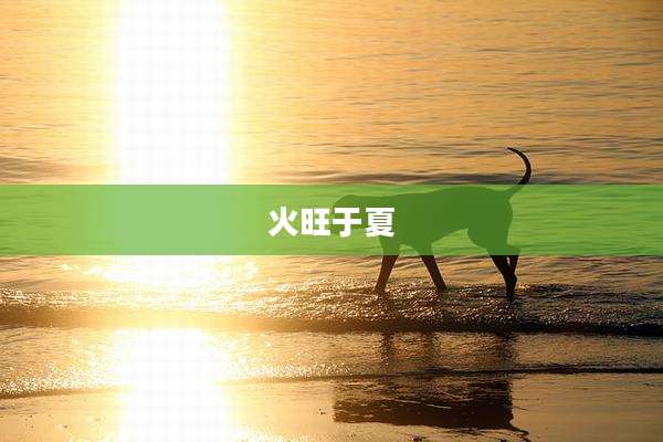 火旺于夏